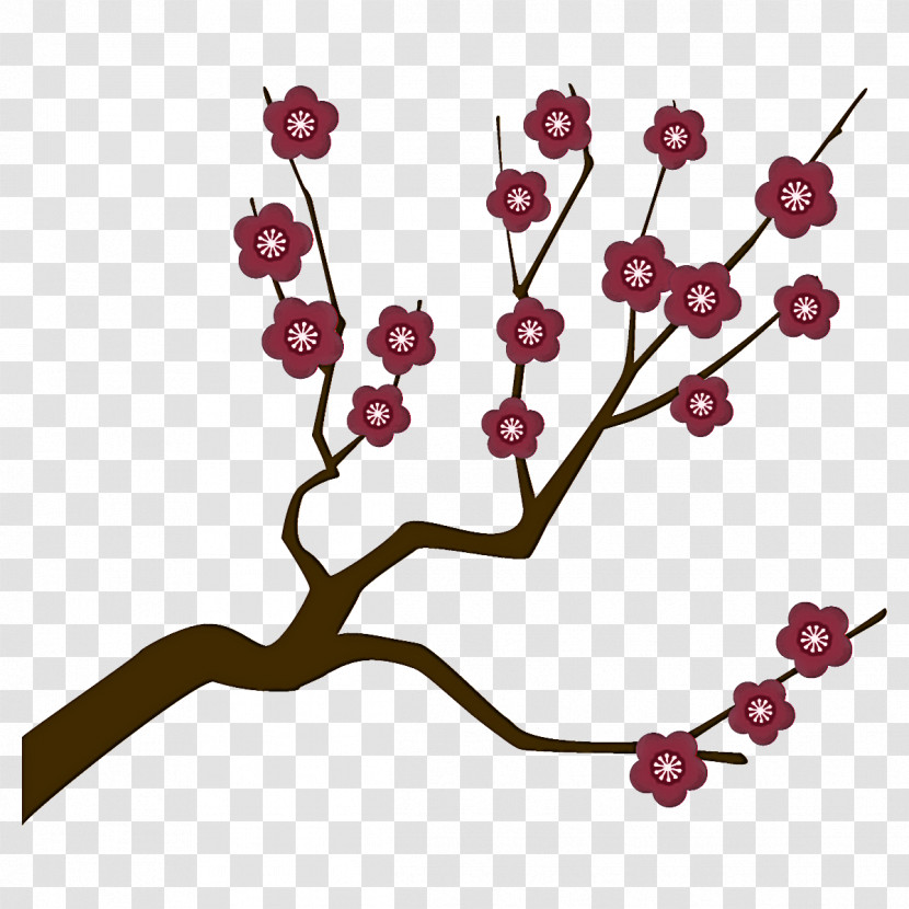 Plum Branch Plum Winter Flower Transparent PNG