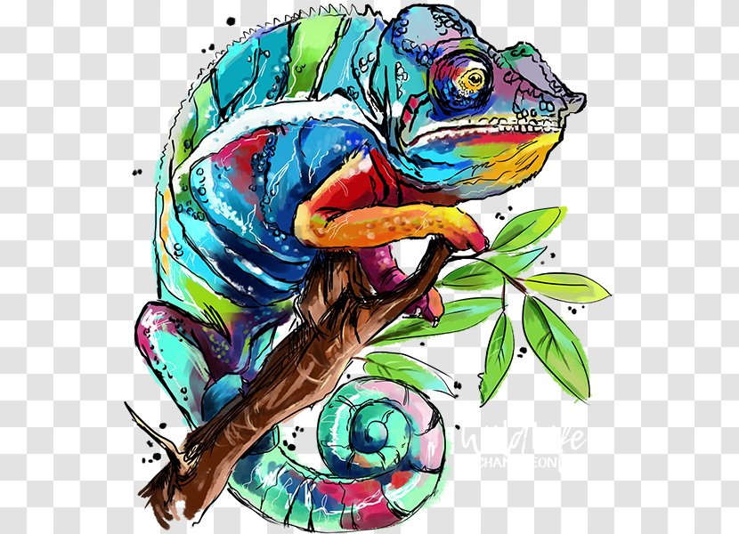 Paint By Number Chameleons Painting Lizard Animal - Common Chameleon Transparent PNG