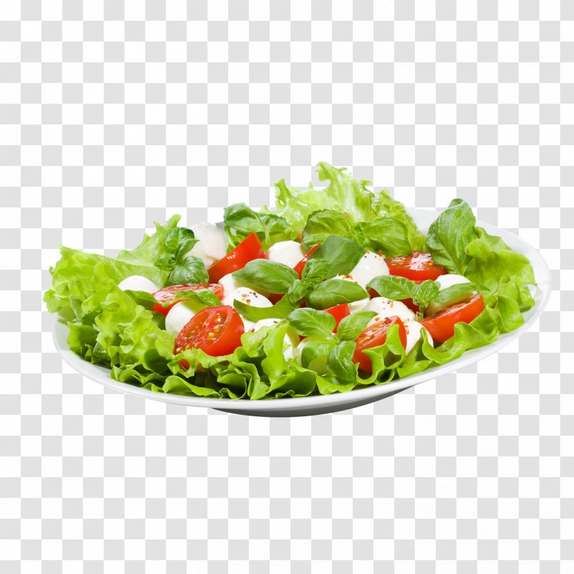 Vinaigrette Pizza Salad Vinegar Chicken Meat Transparent PNG