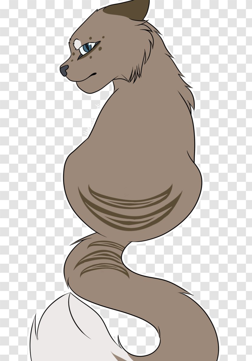 Cat Dog Bear Macropodidae Mammal - Fauna - Bed Drawing Transparent PNG