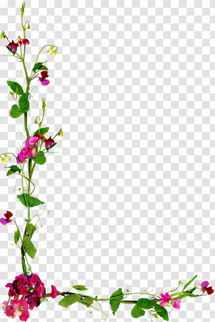 Floral Design - Herbaceous Plant Transparent PNG
