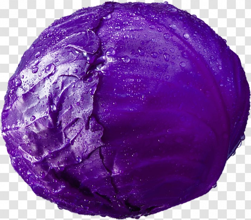 Red Cabbage Vegetable Purple - Food - A Transparent PNG