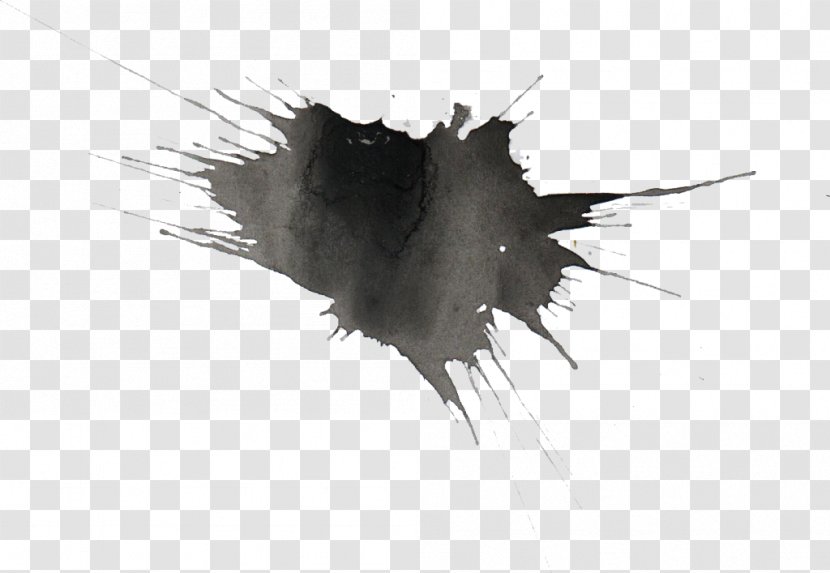 Watercolor Painting Transparent Black And White - Splatter Transparent PNG