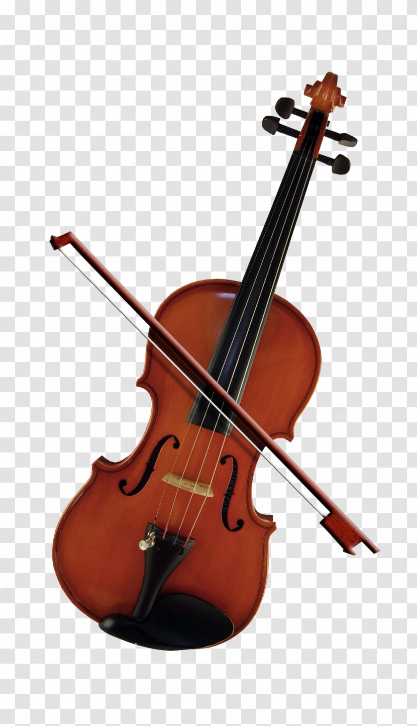 Bass Violin Cello Violone Viola - Frame - Beautiful Transparent PNG