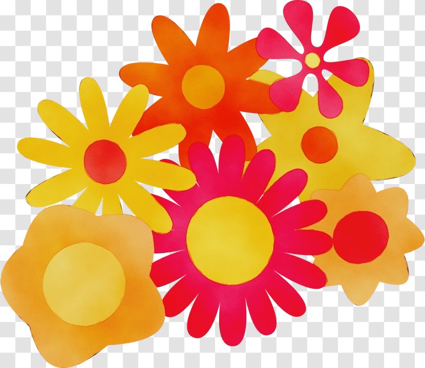 Bouquet Of Flowers Drawing - Transvaal Daisy - Cut Plant Transparent PNG