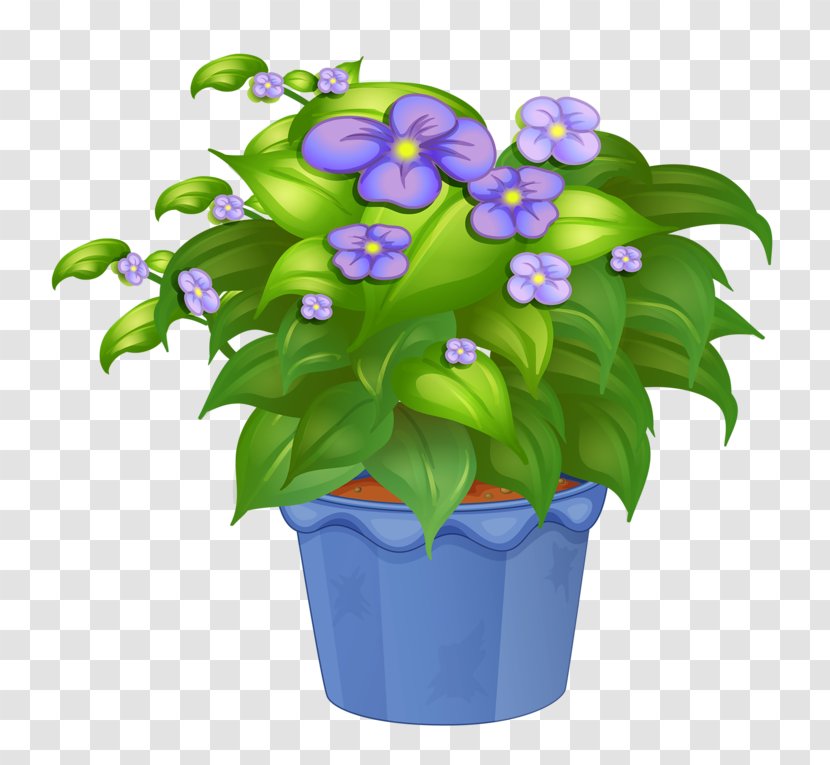 Ornamental Plant Houseplant Flowerpot - Flower Pot Transparent PNG