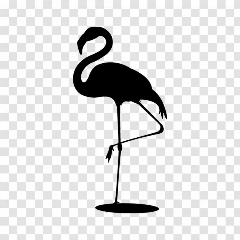 Taobao Phoenicopterus Shop Bird Clothing Accessories - Specialty Store - Ostrich Transparent PNG