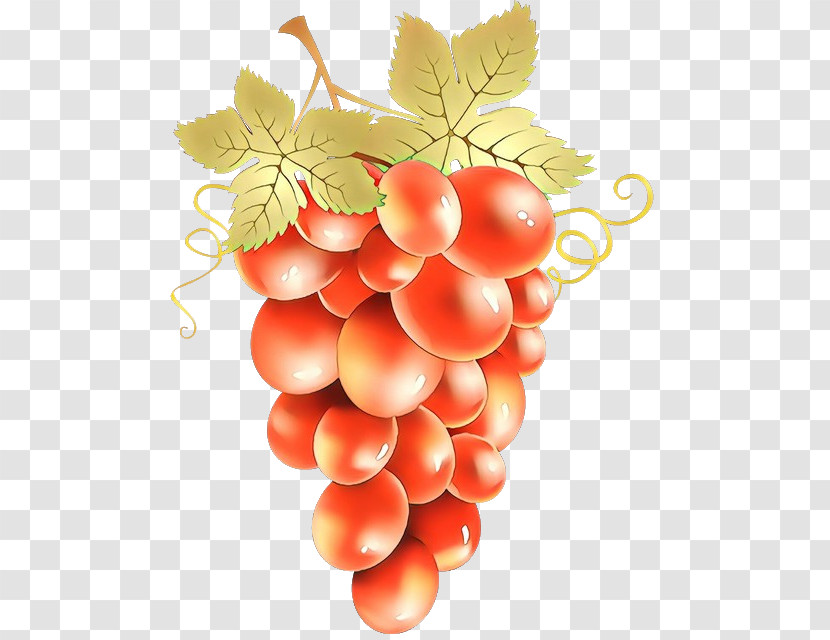 Grape Seedless Fruit Fruit Grapevine Family Plant Transparent PNG