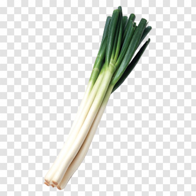 Allium Fistulosum Leek Calxe7ot Scallion - Plant Stem - A Green Onions Transparent PNG