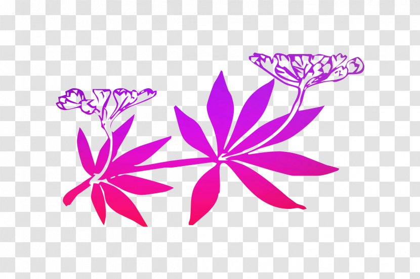 Vector Graphics Clip Art Image Adobe Illustrator - Herbaceous Plant - Petal Transparent PNG