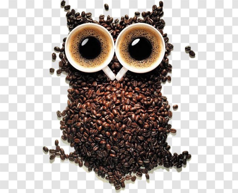 Coffee Cup Cafe Owl Bean Transparent PNG