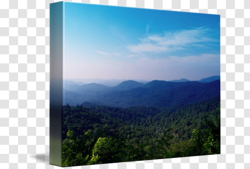 Mount Scenery Pirate Imagekind Forest Art - Hill - Blue Ridge Mountains Transparent PNG