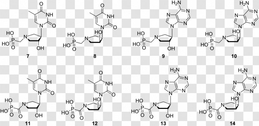RNA Monomer Chemical Synthesis White Methyl Group - Pyrrolidine Transparent PNG