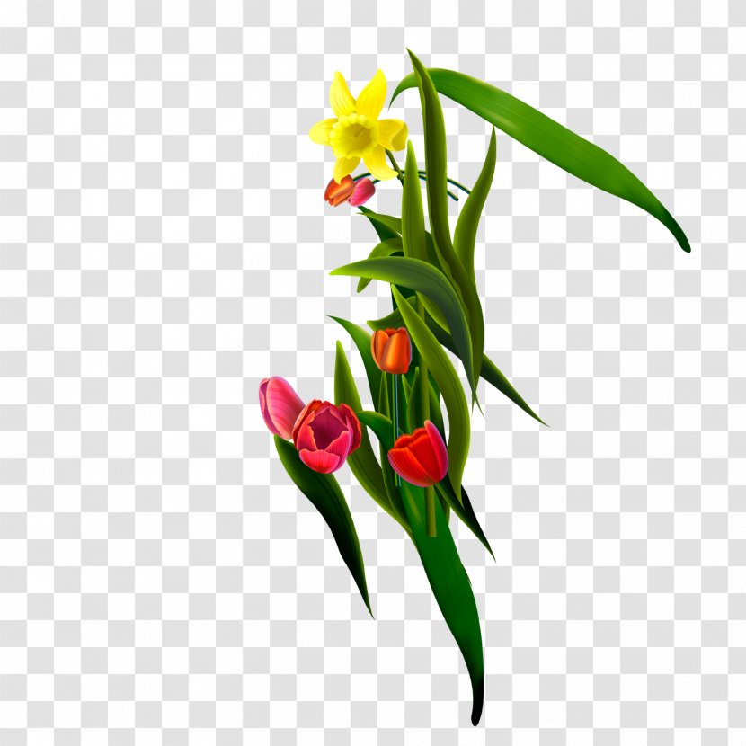 Floral Design Flower Icon - Bouquet Transparent PNG