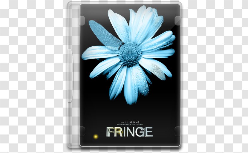 Flower Multimedia Computer Wallpaper Electronics - Fringe 13 Transparent PNG