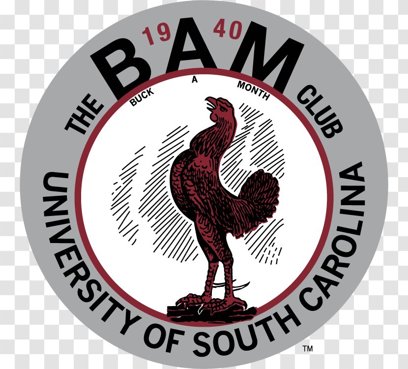 South Carolina Gamecocks Logo University Of - Galliformes - Chicken Transparent PNG