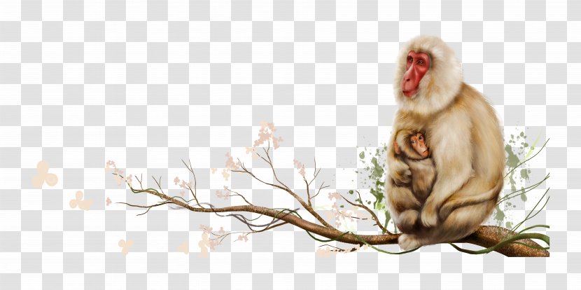 Mother Monkey Sitting On Tree Branch - Photography Transparent PNG