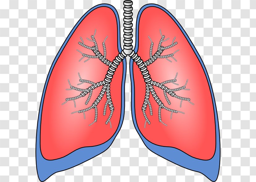 Lung Chronic Obstructive Pulmonary Disease Clip Art - Silhouette - Respiration Cliparts Transparent PNG