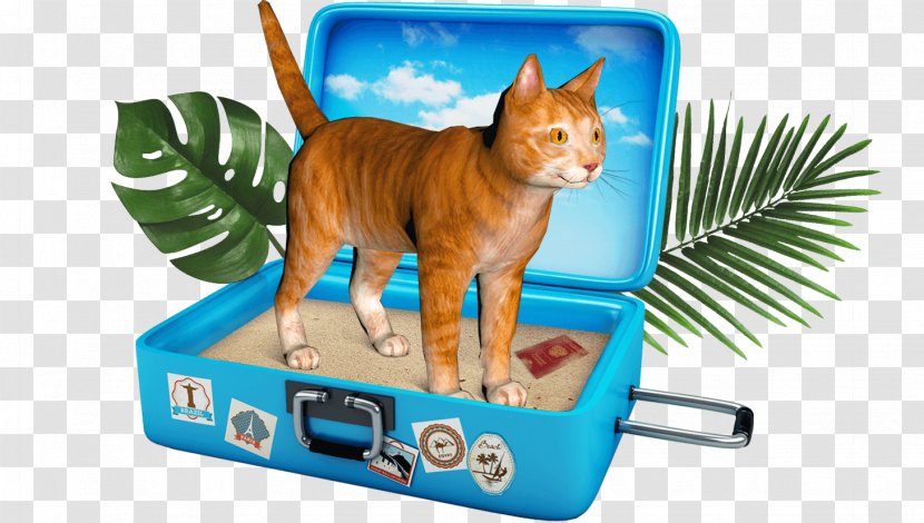 Whiskers Airplane Cat Kitten Animal - Ku Transparent PNG