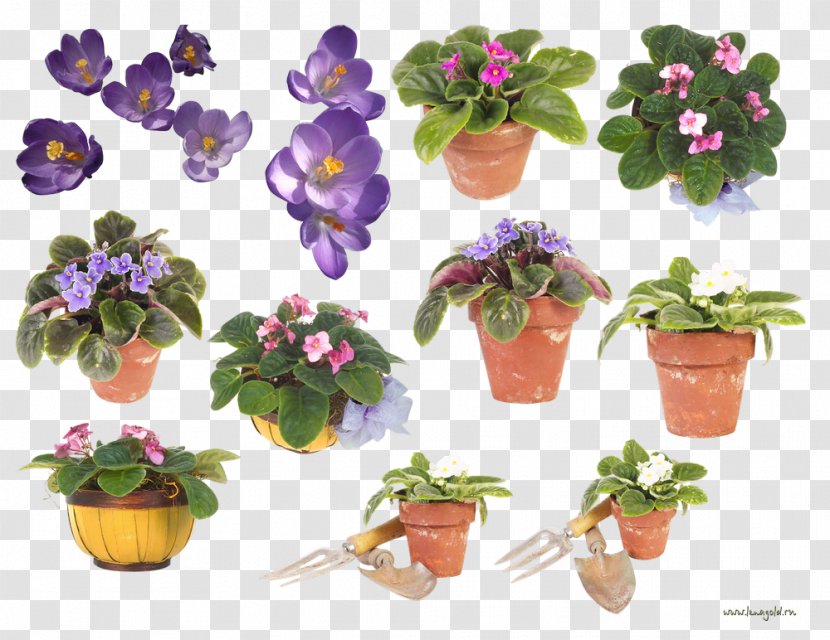 Violet Flowerpot Floral Design Clip Art - Cut Flowers Transparent PNG