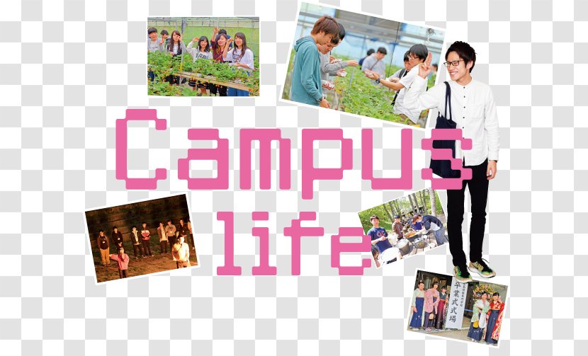 Hiroshimajoho Training School Woman クラブ活動 Recreation Collage - Media Transparent PNG