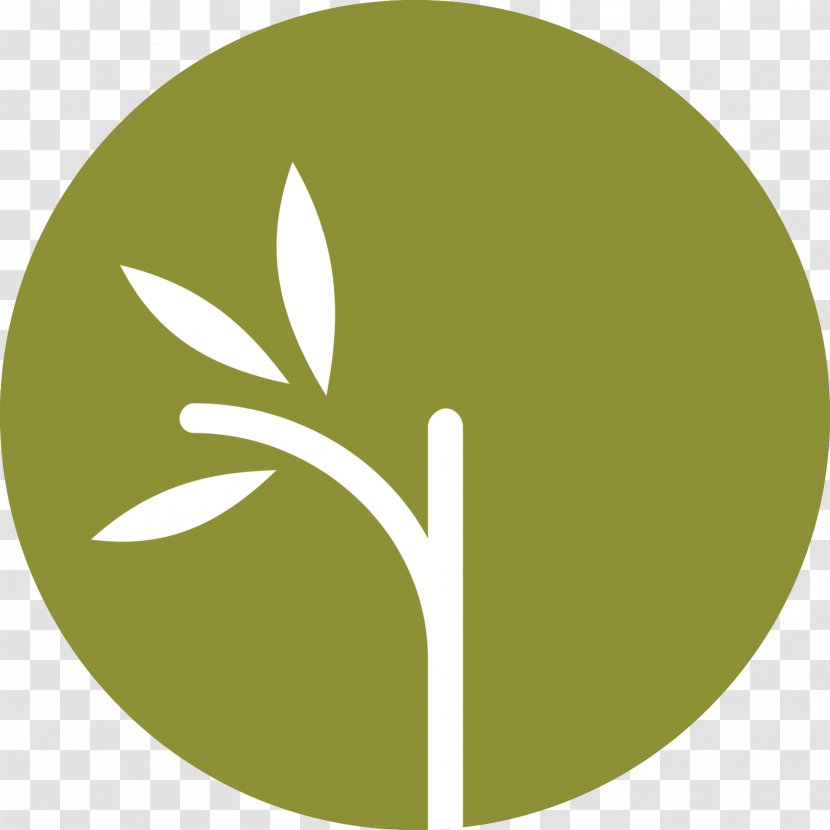 Green Leaf Logo - Symbol Grass Transparent PNG