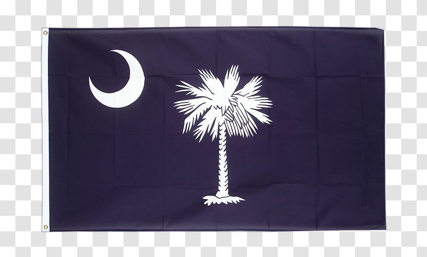 Flag Of South Carolina North - Valley Forge - Caroline Du Sud Transparent PNG