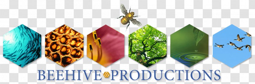 Beehive Image Clip Art - Bee Transparent PNG