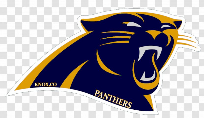 2011 Carolina Panthers Season Super Bowl 50 2015 NFL American Football - Nfc South Transparent PNG