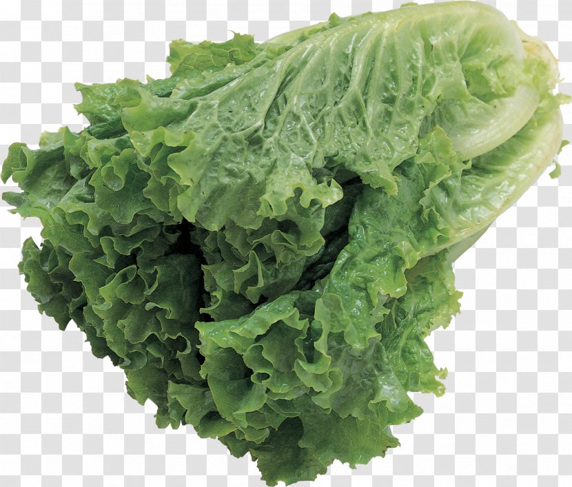 Lettuce Salad - Red Leaf - Image Transparent PNG