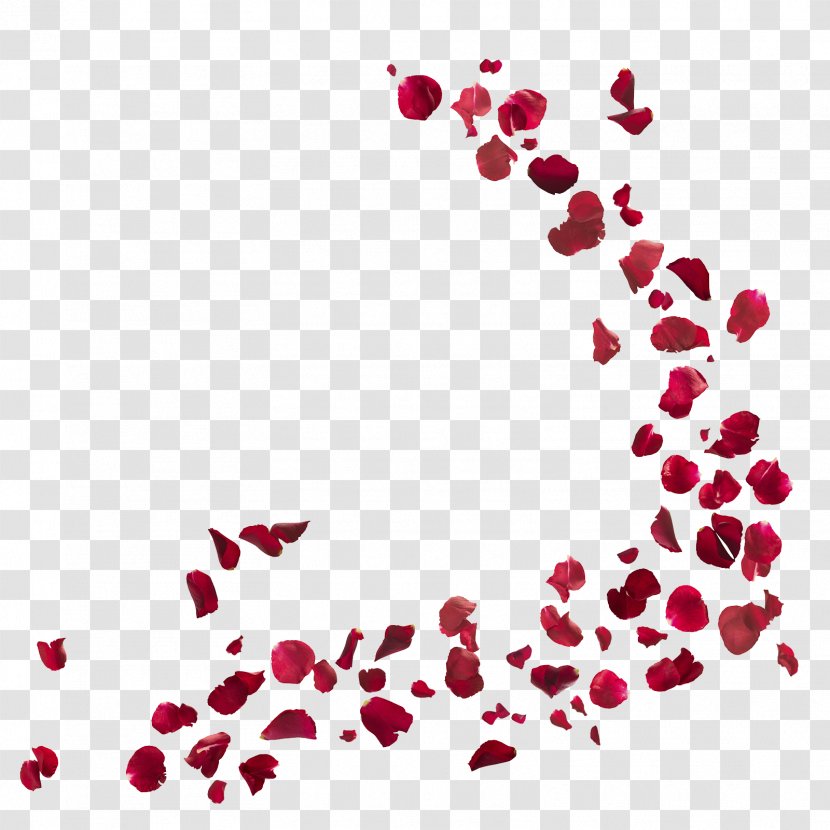 Stock Photography Royalty-free Petal Flower - Valentine S Day - Rose Petals Transparent PNG