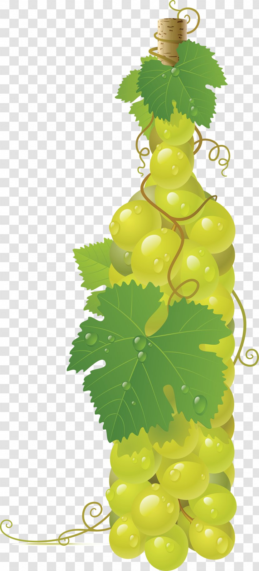 Common Grape Vine Wine Clip Art - Illustration - Green Image Transparent PNG