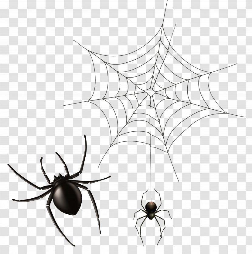Spider Web Clip Art - Branch - Cobweb Cliparts Free Transparent PNG