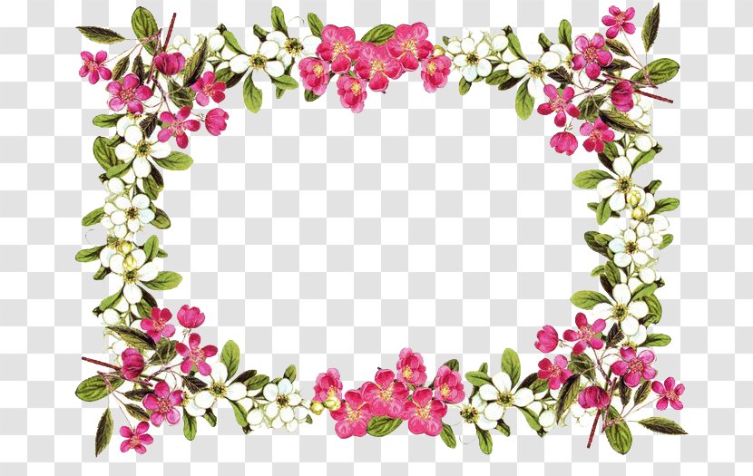 Floral Design Cut Flowers Flower Bouquet Gift - Floristry - Borders Clipart Transparent PNG