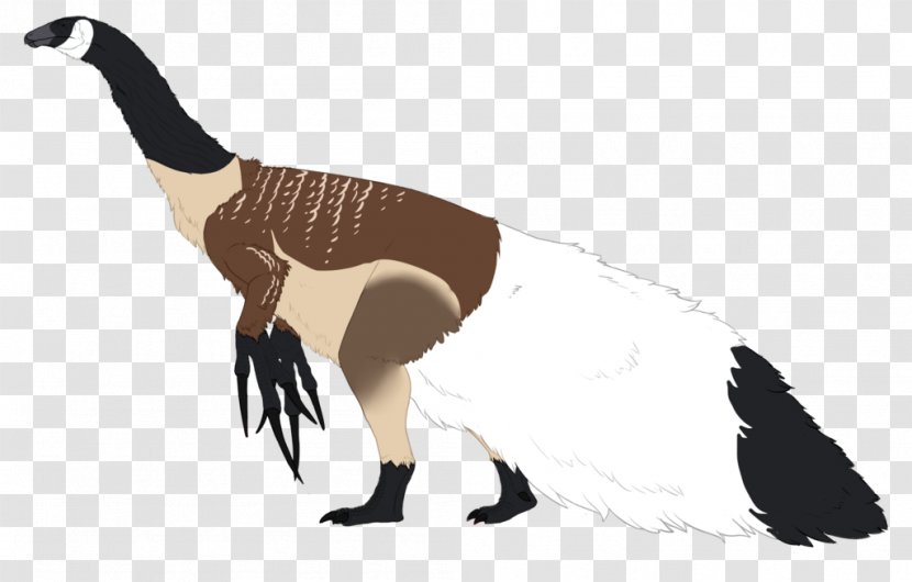 Goose Duck Flightless Bird Feather - Beak Transparent PNG