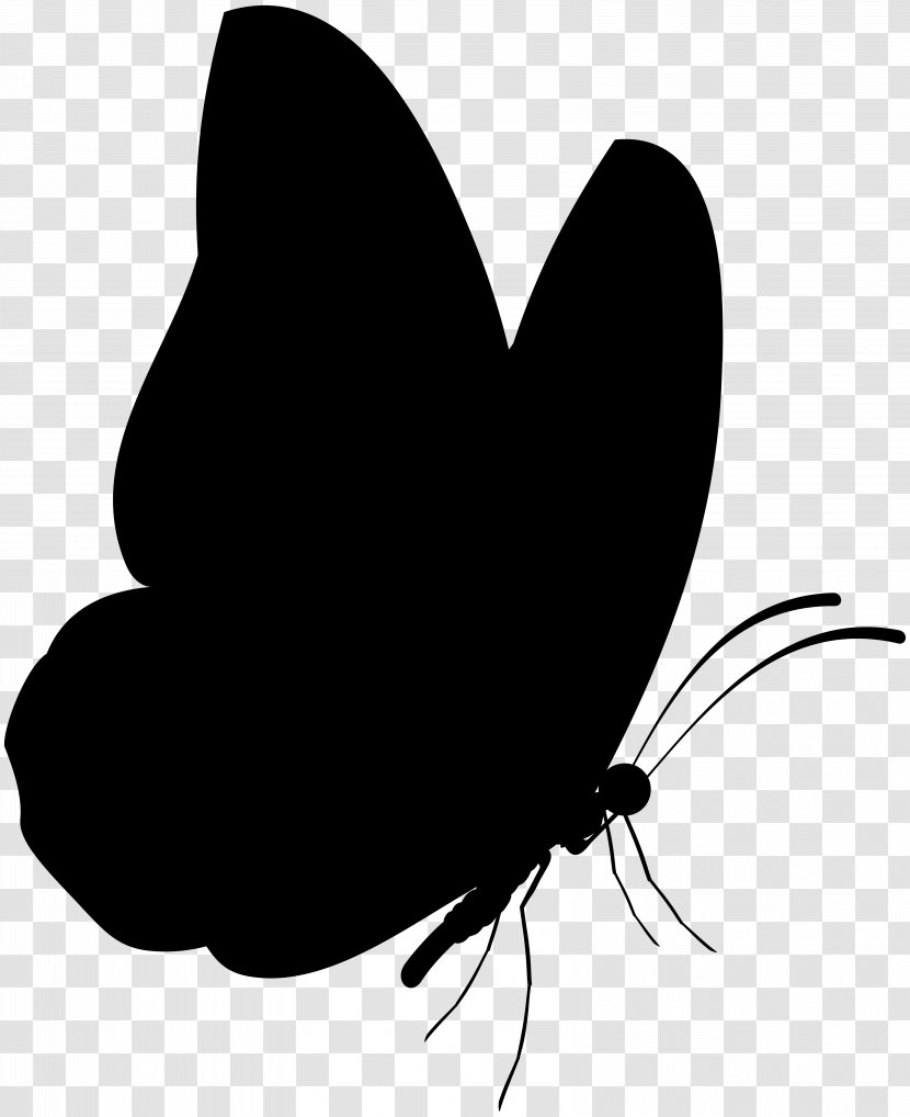 Brush-footed Butterflies Black & White - Pest - M Clip Art Silhouette Transparent PNG