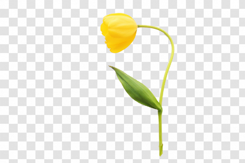 Plant Stem Flower Tulip Petal Yellow Transparent PNG