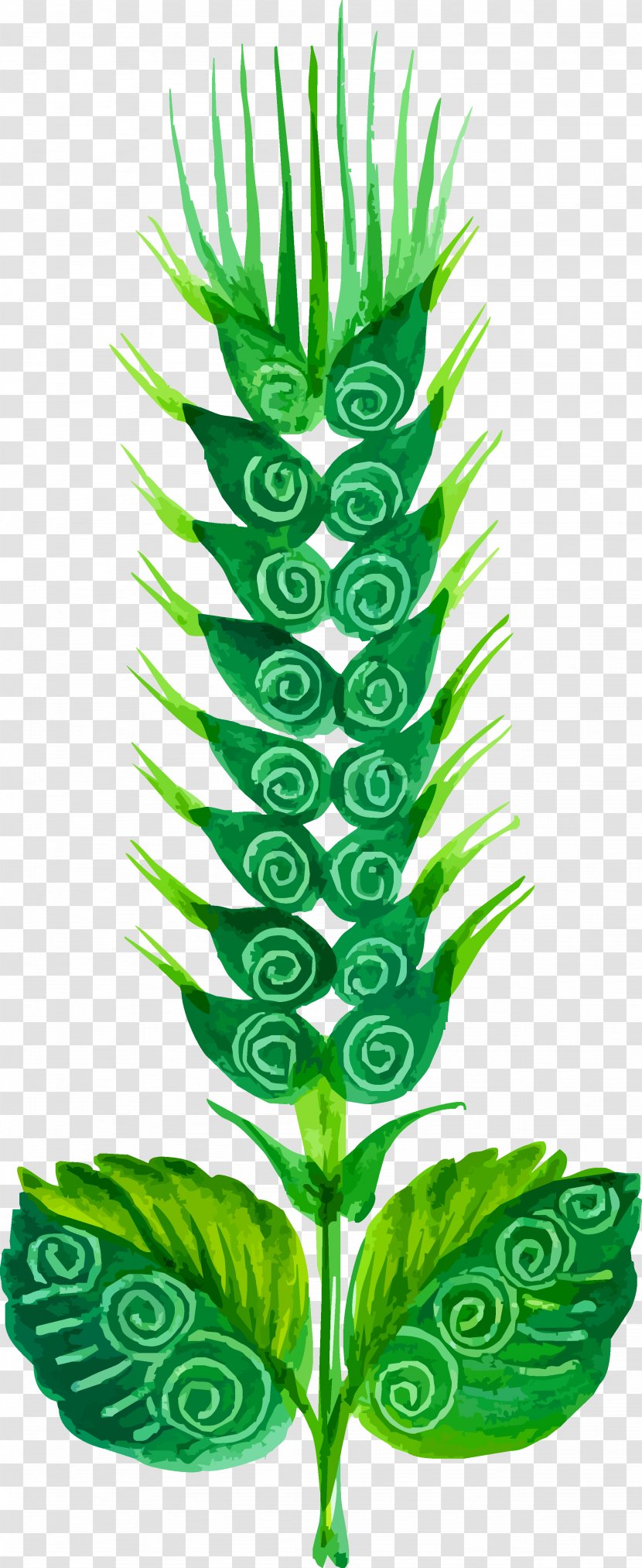 Flower Painting Euclidean Vector Cdr - Aquarium Decor - Green Wheat Transparent PNG