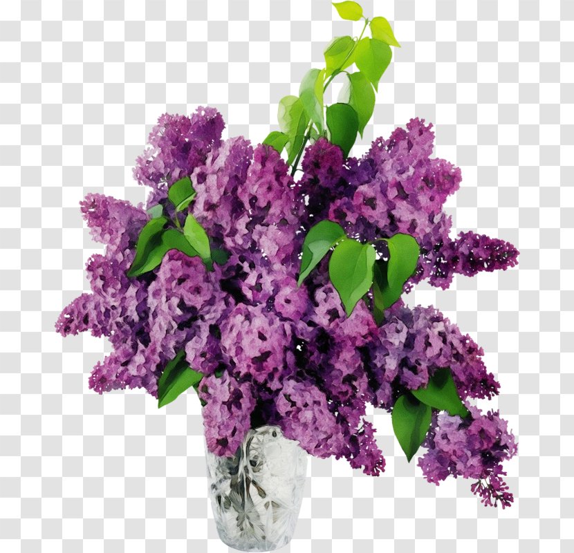 Lavender - Wet Ink - Bouquet Plant Transparent PNG