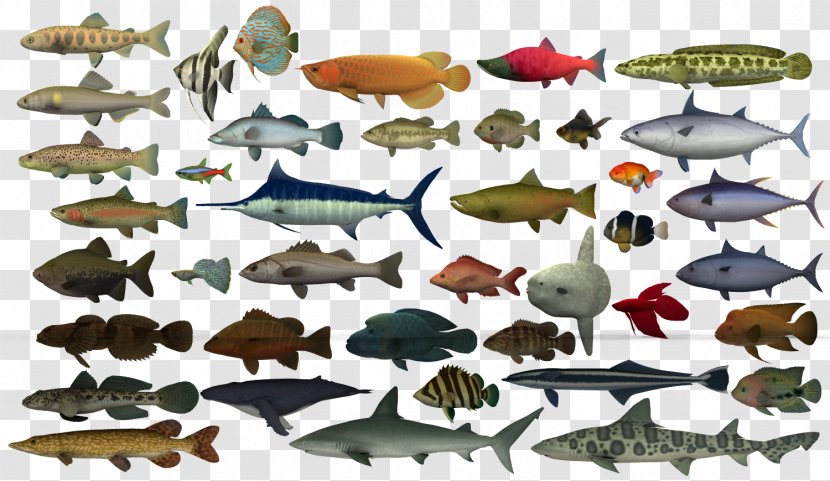 Creatures 3 Computer Graphics Sprite Pixie Legendary Creature - Microsoft Paint - Leopard Shark Transparent PNG
