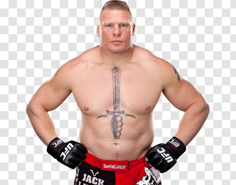 Brock Lesnar UFC 200: Tate Vs. Nunes Martial Arts Professional Wrestler - Flower Transparent PNG