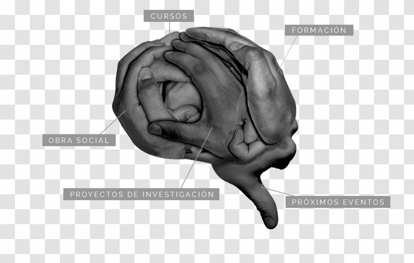 Brain Agy La Fundación Foundation English - Frame Transparent PNG