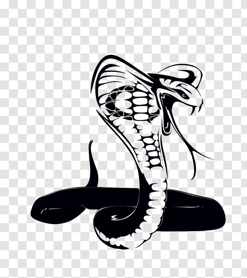 Snake King Cobra Decal Clip Art - Carnivoran Transparent PNG