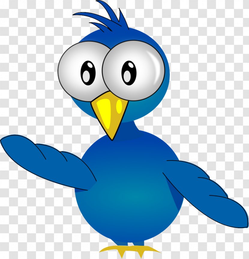 Bird Cartoon Beak Flightless Clip Art - Animation Transparent PNG