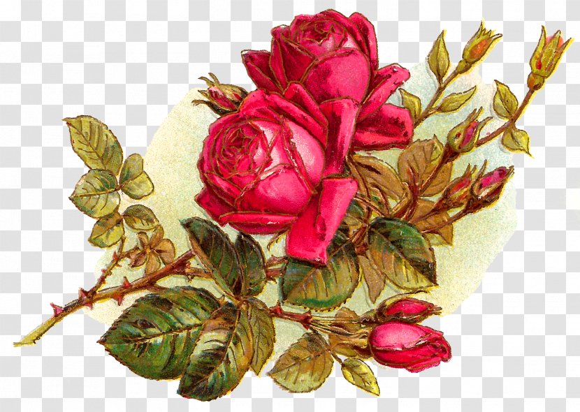 Flower Bouquet Garden Roses Cut Flowers Clip Art - Music Download - Rose Transparent PNG