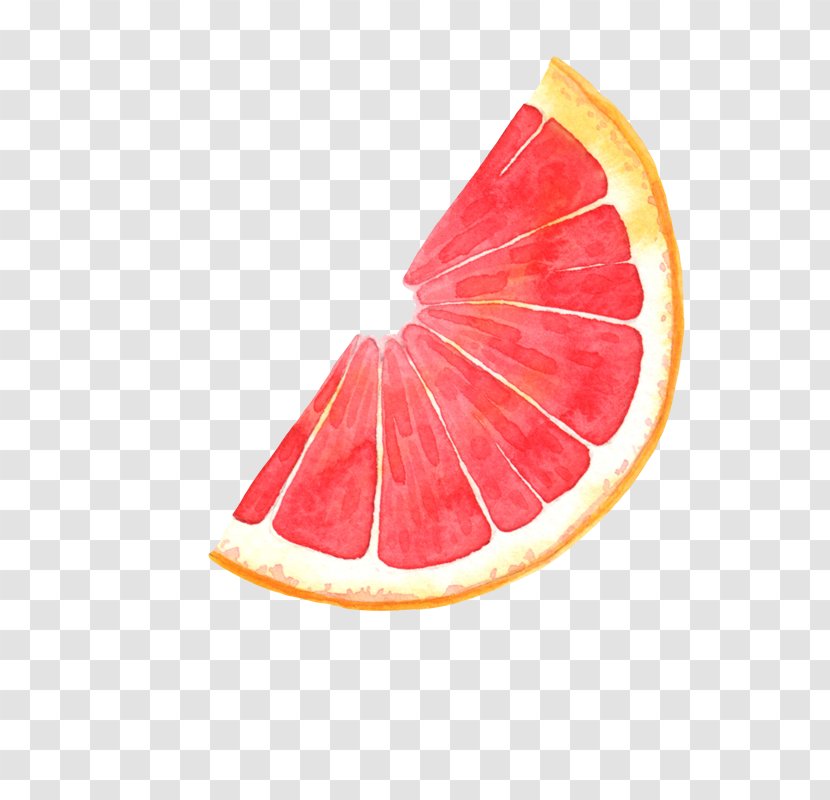 Grapefruit Pomelo Blood Orange Illustration - Food - Cartoon Cut Transparent PNG