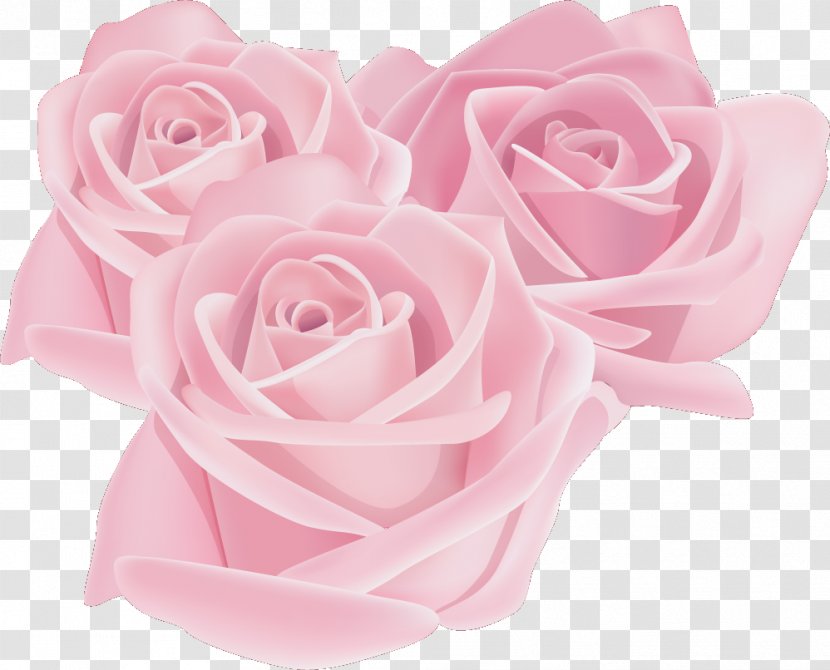 Garden Roses Flower Beach Rose Clip Art - Drawing Transparent PNG