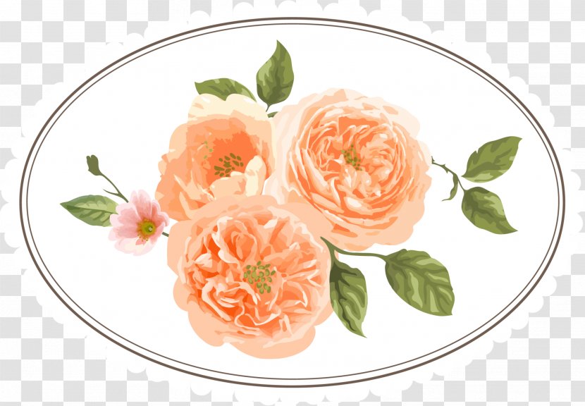 Garden Roses Flower - Pink Circle Transparent PNG
