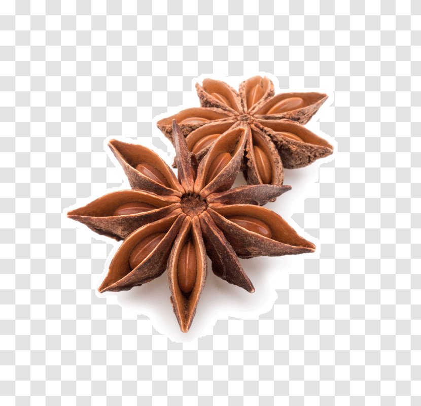 Spice Star Anise Tea Flavor - Herbal Transparent PNG