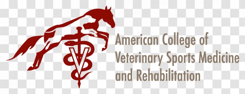 10th International Symposium On Veterinary Rehabilitation And Physical Therapy Sports Medicine Horse - Watercolor Transparent PNG